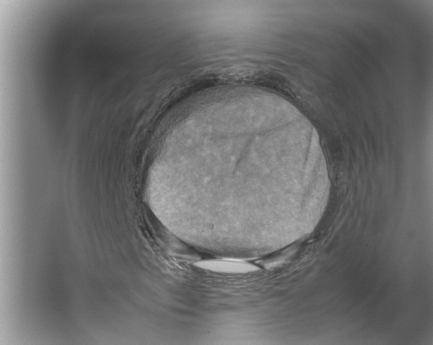 X0000066521153200604141806