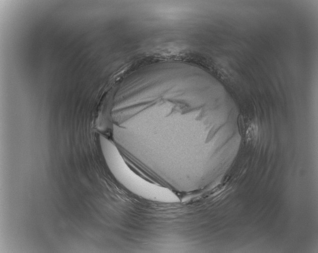 X0000066521156200604141806