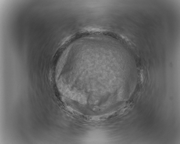 X0000066521157200604141806