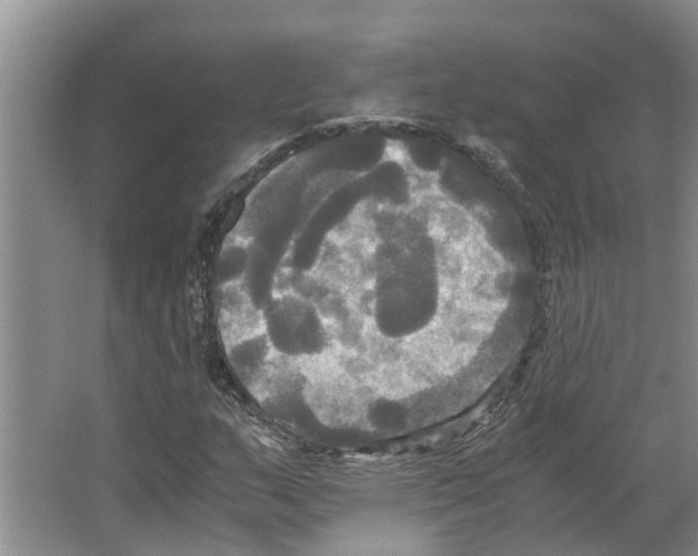 X0000066521159200604141806