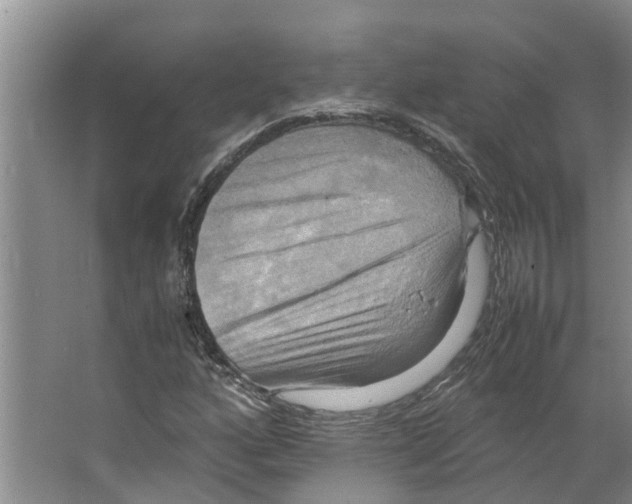 X0000066521160200604141806