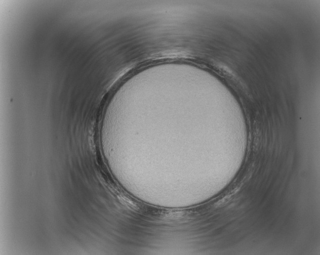 X0000066521162200604141806