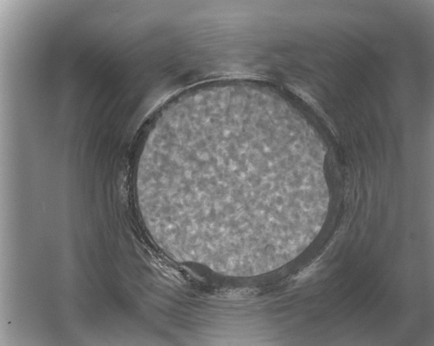 X0000066521163200604141806