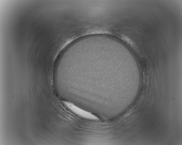 X0000066521165200604141806