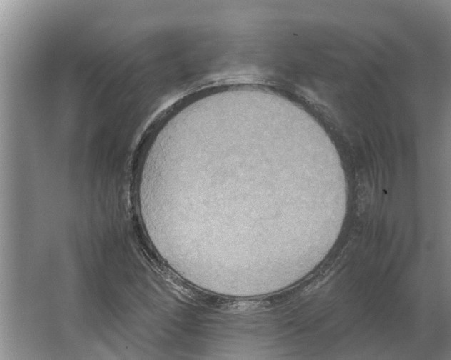 X0000066521166200604141806