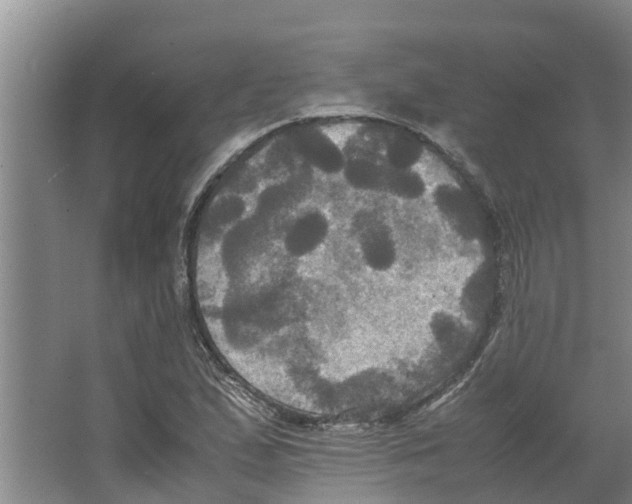 X0000066521167200604141806