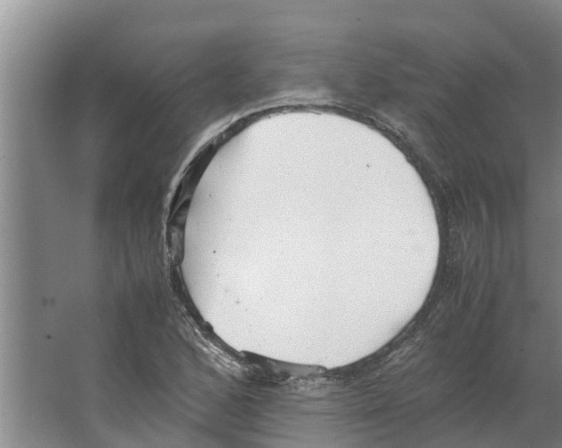 X0000066521168200604141806