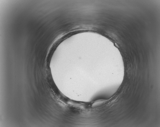 X0000066521172200604141806