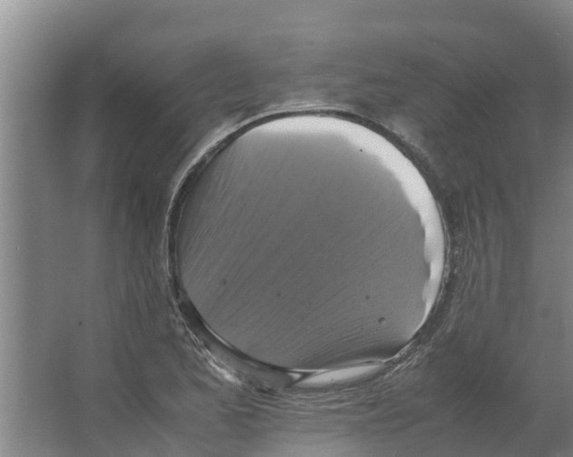 X0000066521173200604141806