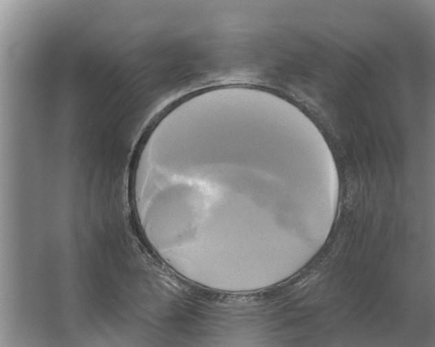 X0000066521174200604141806