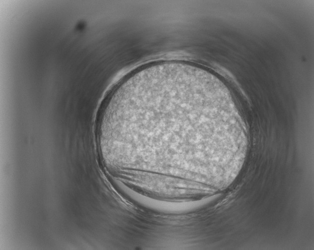 X0000066521176200604141806