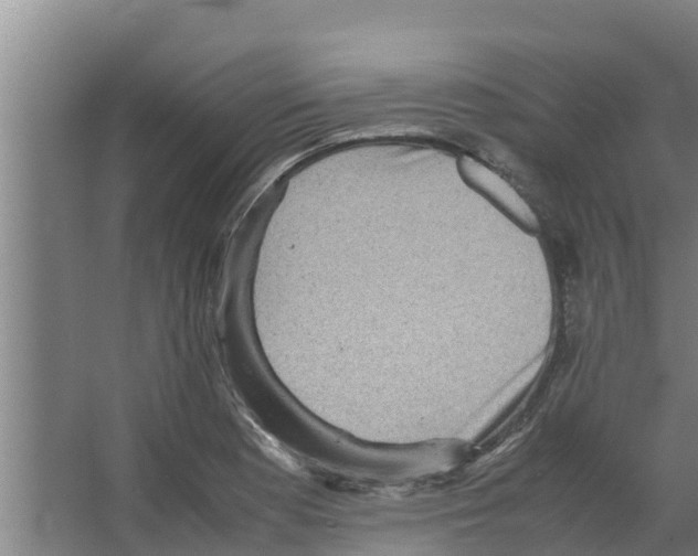 X0000066521177200604141806