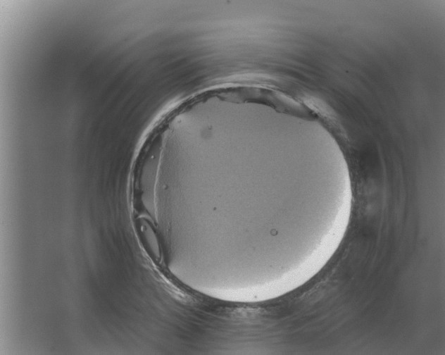 X0000066521180200604141806