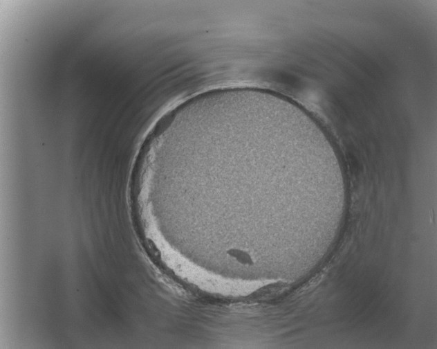 X0000066521181200604141806