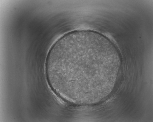 X0000066521183200604141806