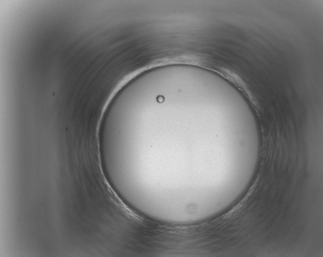 X0000066521184200604141806