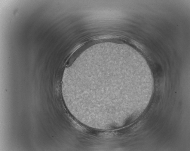 X0000066521185200604141806