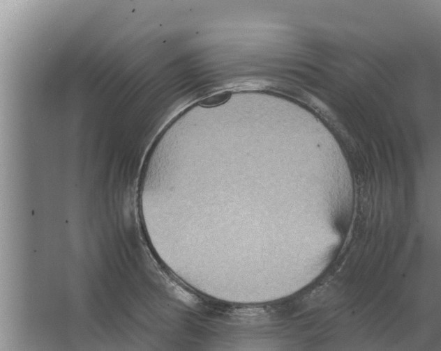 X0000066521186200604141806