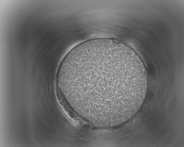 X0000066521187200604141806