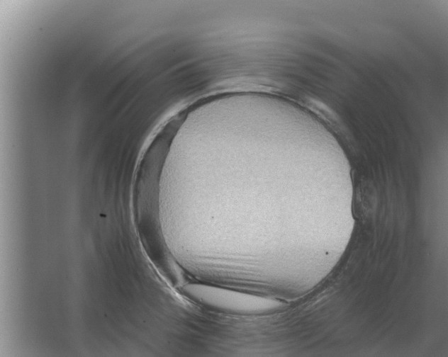 X0000066521188200604141806