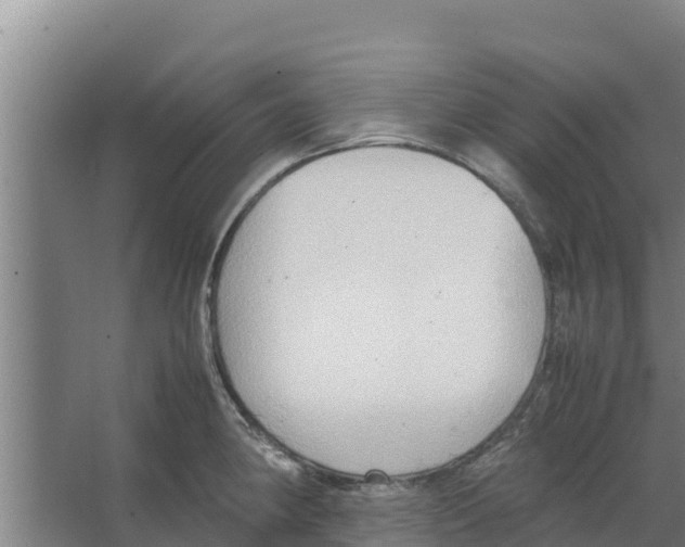 X0000066521190200604141806