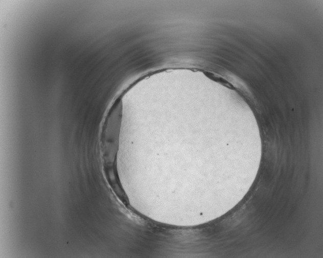 X0000066521192200604141806