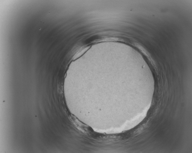 X0000066521193200604141806