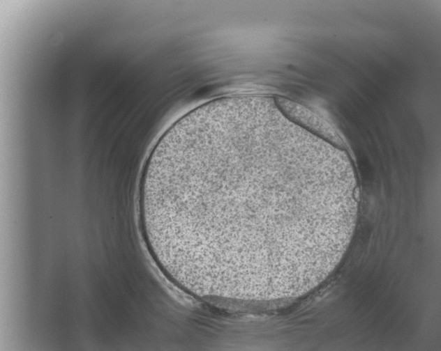 X0000066521195200604141806