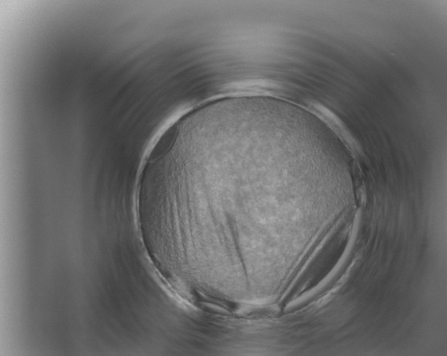 X0000066521196200604141806