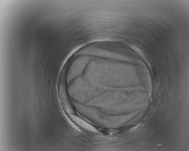 X0000066521197200604141806