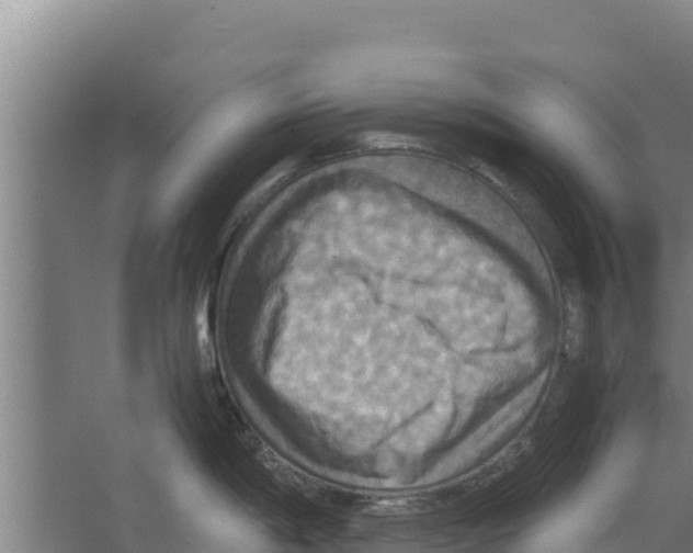 X0000066521198200604141806