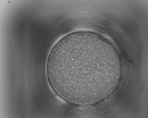 X0000066521199200604141806