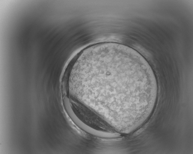 X0000066521200200604141806