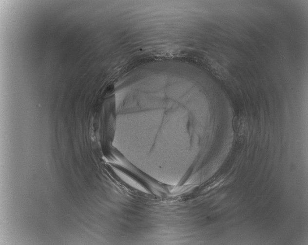 X0000066521202200604141805