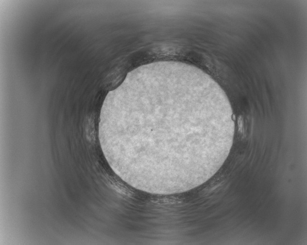 X0000066521203200604141805