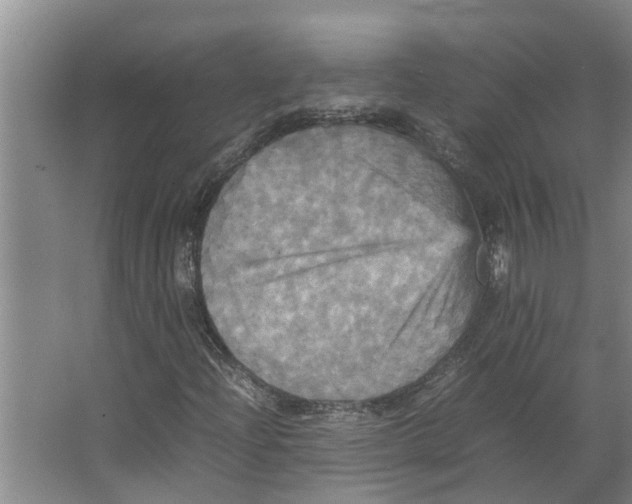 X0000066521204200604141805