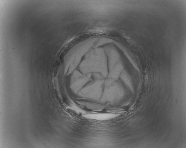 X0000066521206200604141805