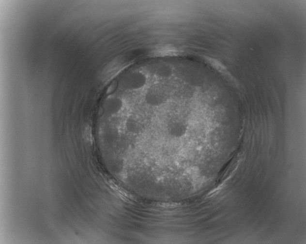 X0000066521209200604141805