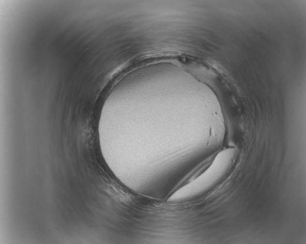 X0000066521210200604141805