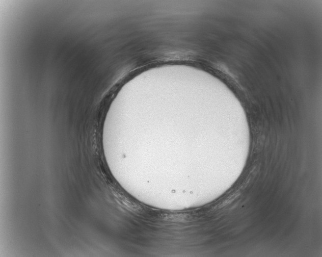 X0000066521211200604141805