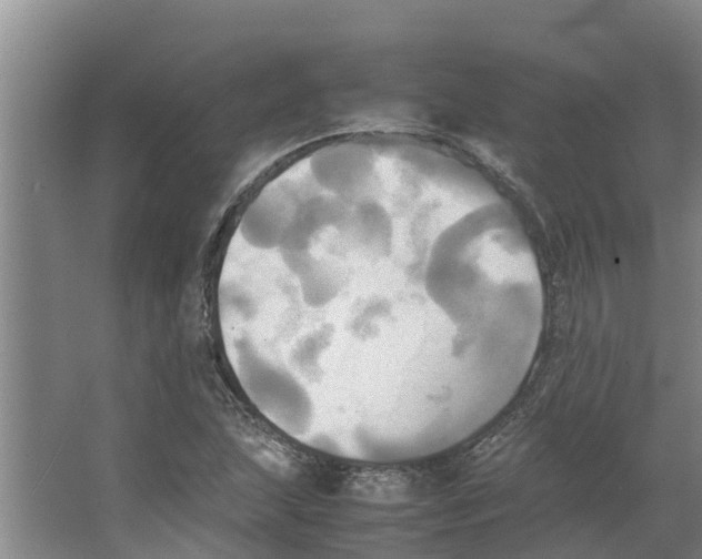 X0000066521215200604141805