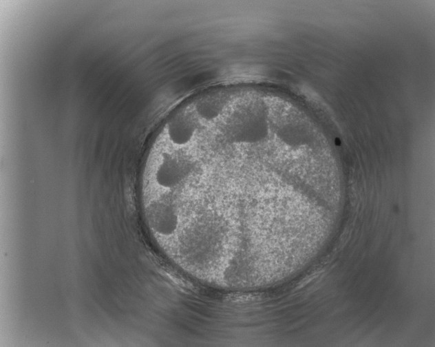 X0000066521217200604141805