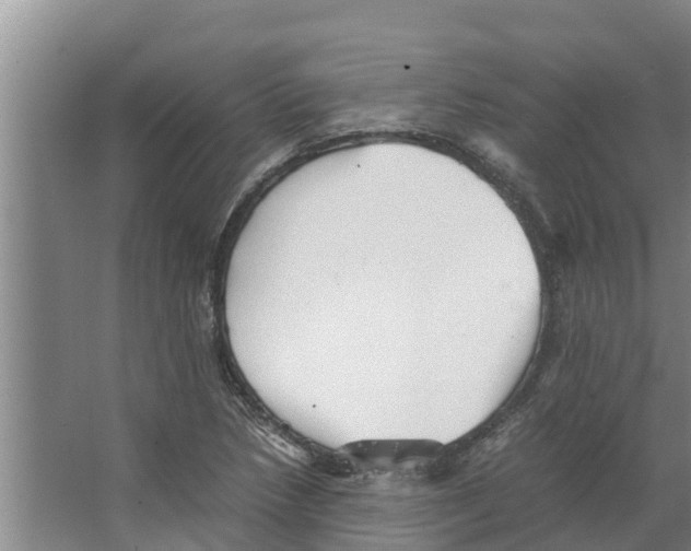 X0000066521218200604141805