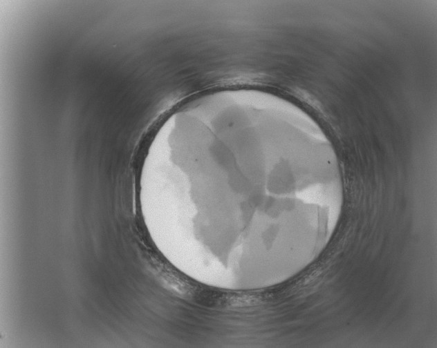 X0000066521219200604141805