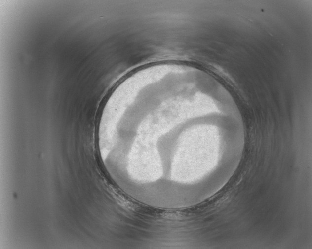 X0000066521220200604141805