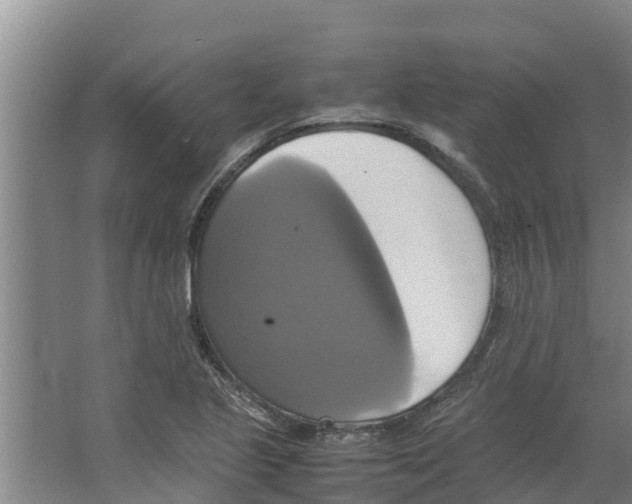 X0000066521221200604141805