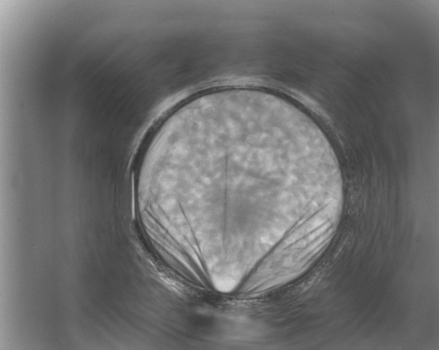 X0000066521223200604141805