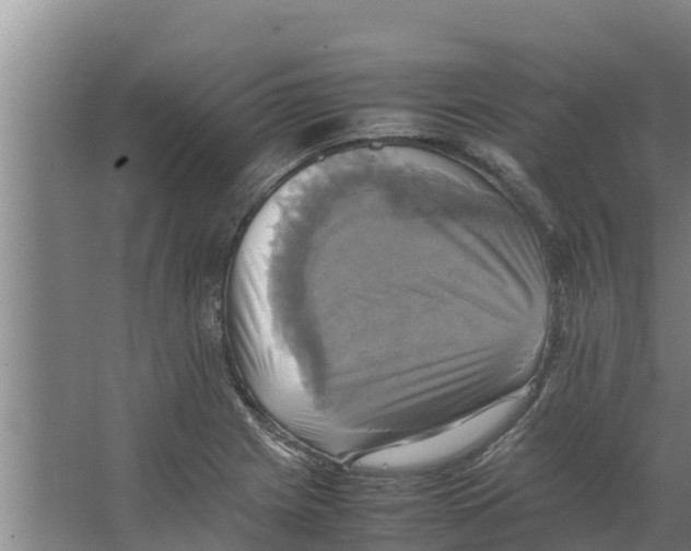 X0000066521225200604141805