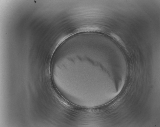 X0000066521226200604141805