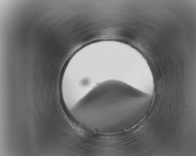 X0000066521229200604141805